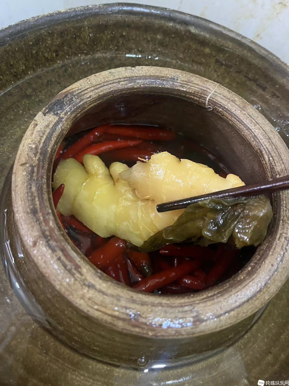 一，二年没进来了，昨天一进来全是晒炒菜的？？？？？来来来来来，进这里来，就TM怕你不服？